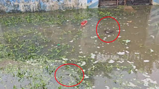 Telangana Rains: ప్రాణాలకు తెగించి మరీ వరదలో చిక్కుకున్న గిరిజనలను రక్షించిన పోలీసులు..