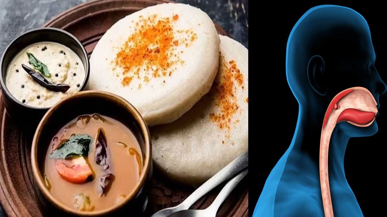 Food Stuck in Throat: గొంతులో ఇడ్లీ ఇరుక్కుని వ్యక్తి మృతి.. అసలిలా ఎందుకు జరుగుతుందో తెలుసా?