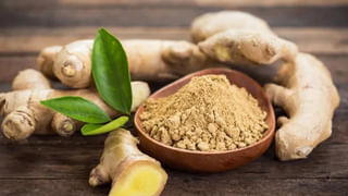 Tiger Nuts: ఈ టైగర్ నట్స్ గురించి తెలుసా? బాదం కంటే మేలు..