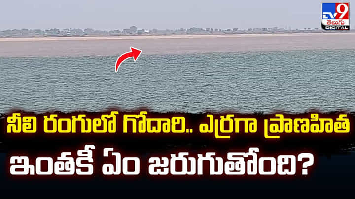 నీలి రంగులో గోదారి.. ఎర్రగా ప్రాణహిత.. ఇంతకీ ఏం జరుగుతోంది ?? నీలి రంగులో గోదారి.. ఎర్రగా ప్రాణహిత.. ఇంతకీ ఏం జరుగుతోంది ??