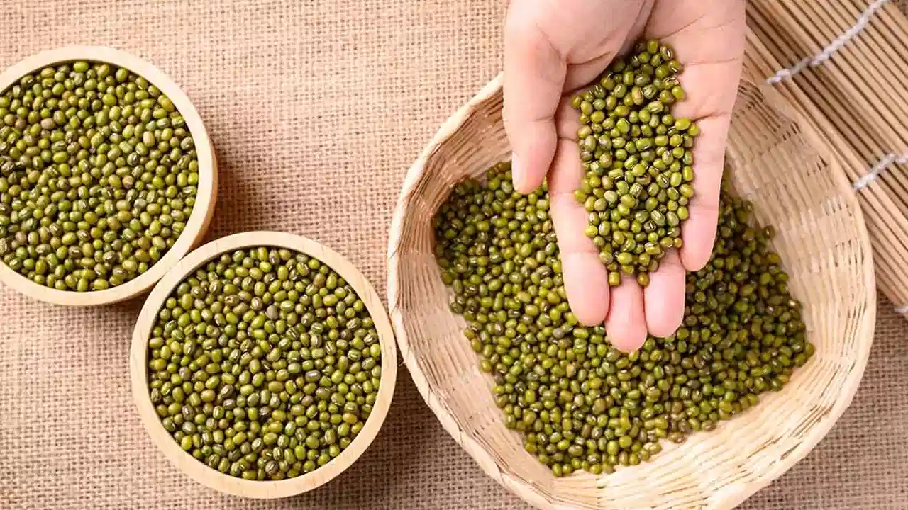 Green Moong Dal: పచ్చి పెసర పప్పు తింటే ఇన్ని సమస్యలు తగ్గించుకోవచ్చా.. తెలుసుకోండి..