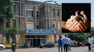 AP News: పొలంలో మెరుస్తూ కనిపించిన రాయి.. ఏంటోనని చూడగా.. వాటే లక్