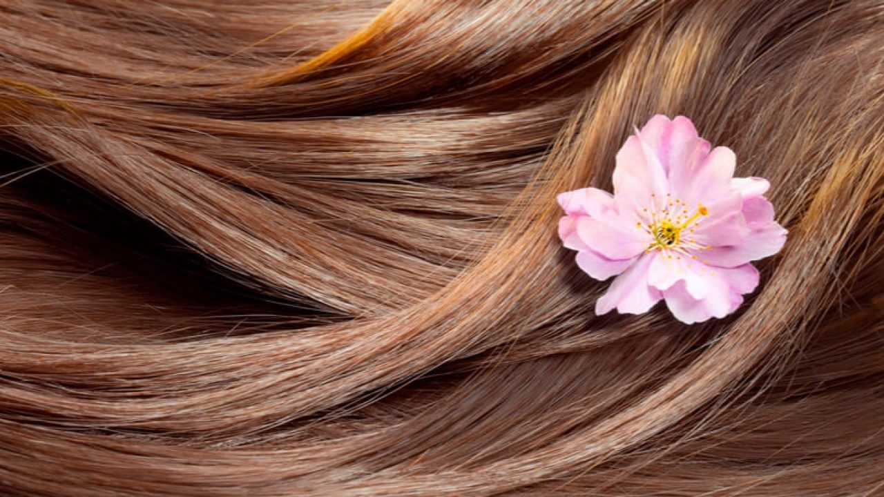 Tips for Silky Hair: జుట్టు పట్టుకుచ్చులా మెత్తగా, సిల్కీగా ఉండాలంటే ఈ ట్రిక్ ఫాలో అవ్వండి..