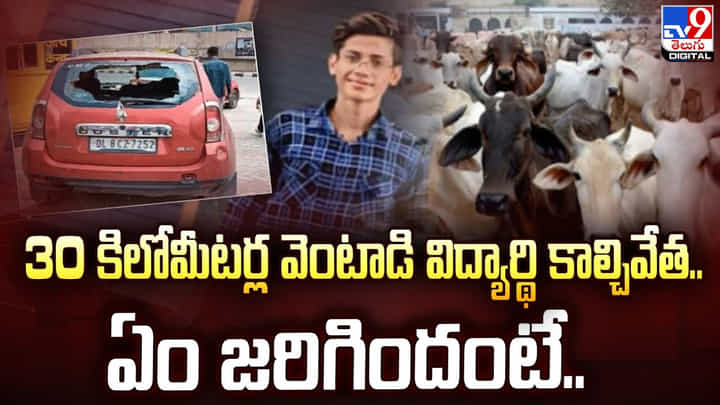 30 కిలోమీటర్ల వెంటాడి విద్యార్థి కాల్చివేత.. ఏం జరిగిందంటే ?? 30 కిలోమీటర్ల వెంటాడి విద్యార్థి కాల్చివేత.. ఏం జరిగిందంటే ??