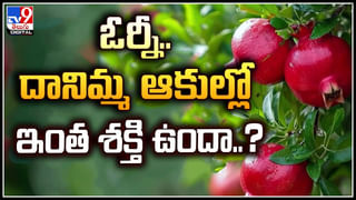 Red Spinach: ఈ ఆకుకూర తింటే ఎన్ని లాభాలో తెలిస్తే అస్సలు వదలరు.!