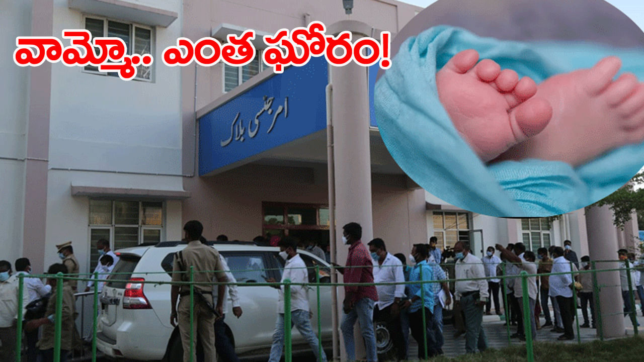 TG Govt Hospital: హుజూర్‌నగర్‌ దవాఖానలో దారుణం.. కాన్పు కోసం వస్తే నిండు గర్భిణీ కడుపుపై తొక్కి ప్రసవం!