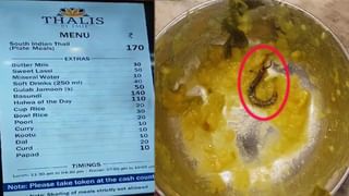 Telangana: తెలంగాణలో 38 కాలేజీల్లో జాబ్ గ్యారంటీ కోర్సు.. రేపు సీఎం రేవంత్‌ చేతుల మీదగా శ్రీకారం