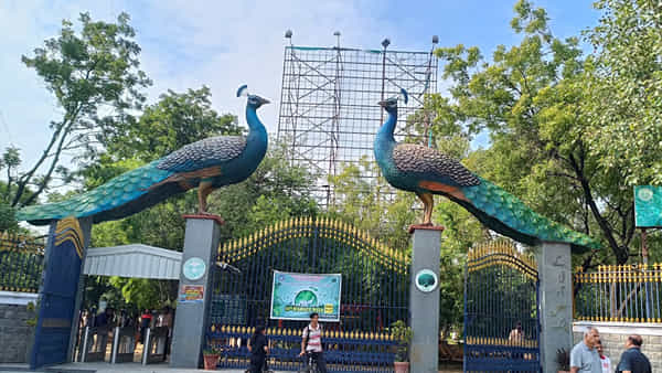 Hyderabad: గ్రేటర్ వాసులకు బిగ్ రిలీఫ్.. కేబీఆర్ పార్కు చుట్టూ 4 ఫ్లైఓవర్లు.. తగ్గనున్న ట్రాఫిక్ రద్దీ!