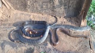 Andhra Pradesh: విజయనగరంలో హైడ్రా తరహా కూల్చివేతలు.. లబోదిబోమంటున్న బాధితులు..