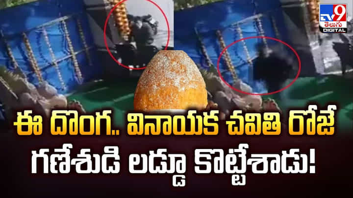 ఈ దొంగ.. వినాయక చవితి రోజే గణేశుడి లడ్డూ కొట్టేశాడు !! ఈ దొంగ.. వినాయక చవితి రోజే గణేశుడి లడ్డూ కొట్టేశాడు !!