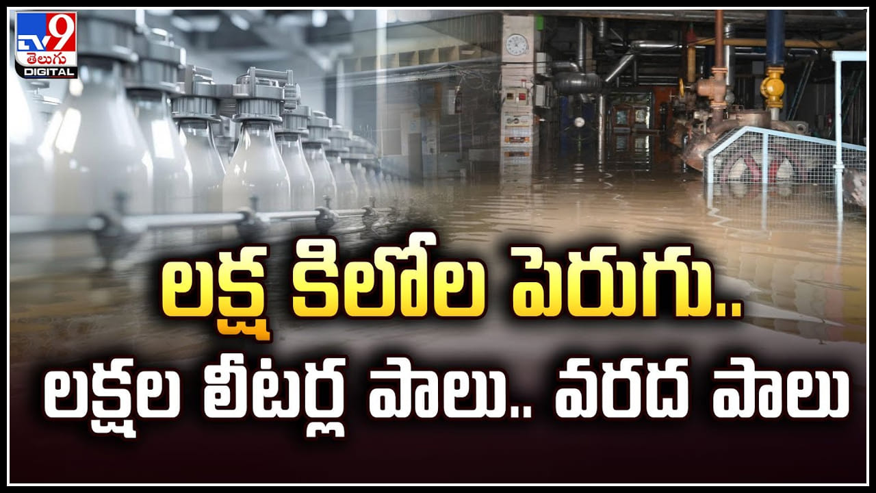 Vijayawada: లక్ష కిలోల పెరుగు.. లక్షల లీటర్ల పాలు.. వరద పాలు.! విజయవాడ అతలాకుతలం.