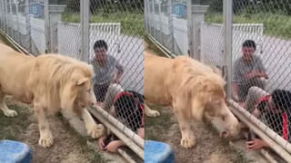 Viral Video: రద్దీ రోడ్డు మధ్యలో కుర్చీ వేసుకుని కూర్చొన్న మందుబాబు.. తర్వాత ఏం జరిగిందో చూడండి