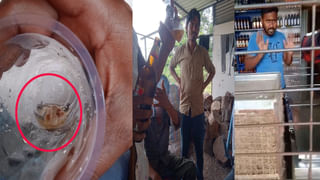 Uttar Pradesh: ట్రాక్‌పై గ్యాస్ సిలిండర్.. కాన్పూర్‌లో రైలు పేల్చివేత కుట్ర భగ్నం! రంగంలోకి దిగిన  IB