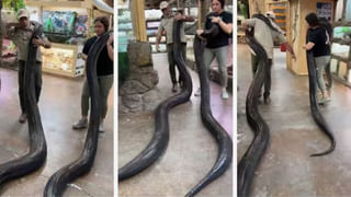 Watch: వార్నీ.. వీటికెంత సుఖం వచ్చింది..! ఏసీ రూమ్‌లో ఎంజాయ్‌ చేస్తున్న మేకలు.. చూస్తే ముక్కున వేలేసుకుంటారు..