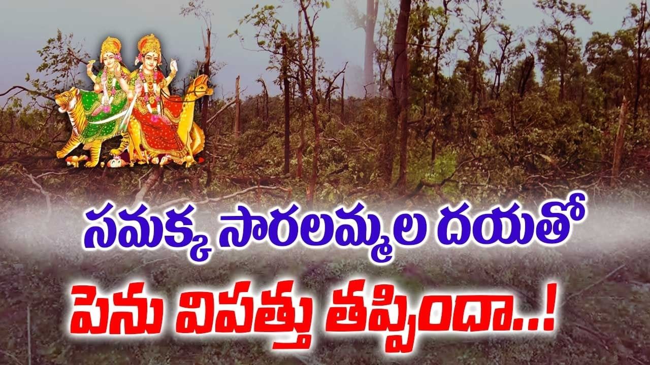 మేడారం అడవుల్లో మహా ప్రళయం.. సమ్మక్క సారలమ్మల దయతో పెను విపత్తు తప్పిందా..!