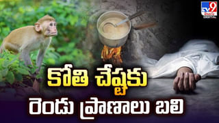 Ganesh Immersion: వినాయకుడిని మాత్రమే ఎందుకు నిమజ్జనం చేస్తారు.? ఓహో ఇదా స్టోరీ..