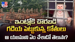 Viral Video: ఎవరు సామీ నువ్వు.. బైక్‌ను ఈ రేంజ్‌లో ప్రేమిస్తున్నావు..!