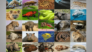 Viral Video: పోలీస్ స్టేషన్‌ను డ్యాన్స్‌ క్లబ్‌గా మార్చిన ఖాకీలు..అంతలోనే వచ్చిన ఆఫీసర్‌..! అద్దిరిపోయే ట్విస్ట్‌ ఇచ్చాడు..