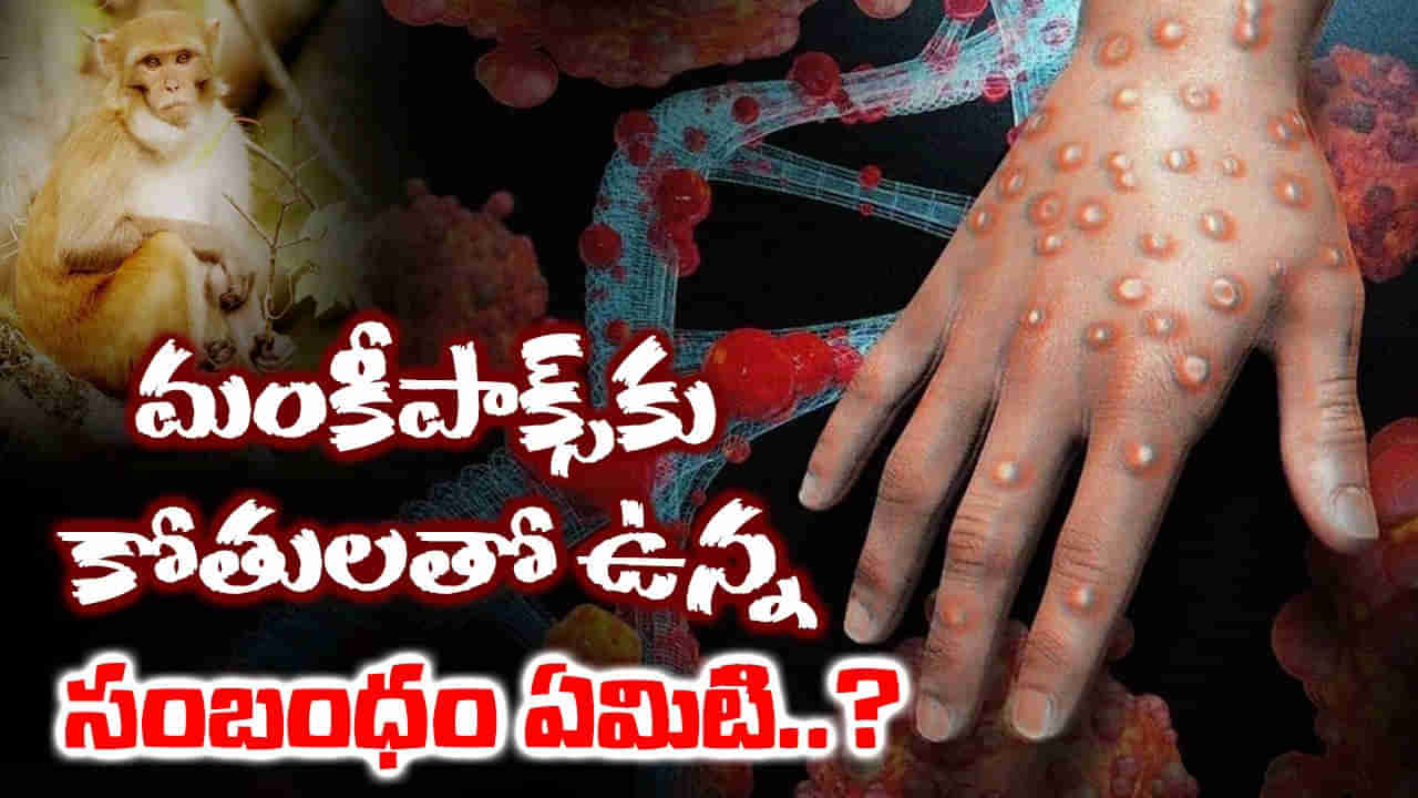 Monkeypox: మంకీపాక్స్‌కు కోతులతో ఉన్న సంబంధం ఏమిటి..? ఈ వ్యాధి వాటిద్వారానే వ్యాపిస్తుందా?