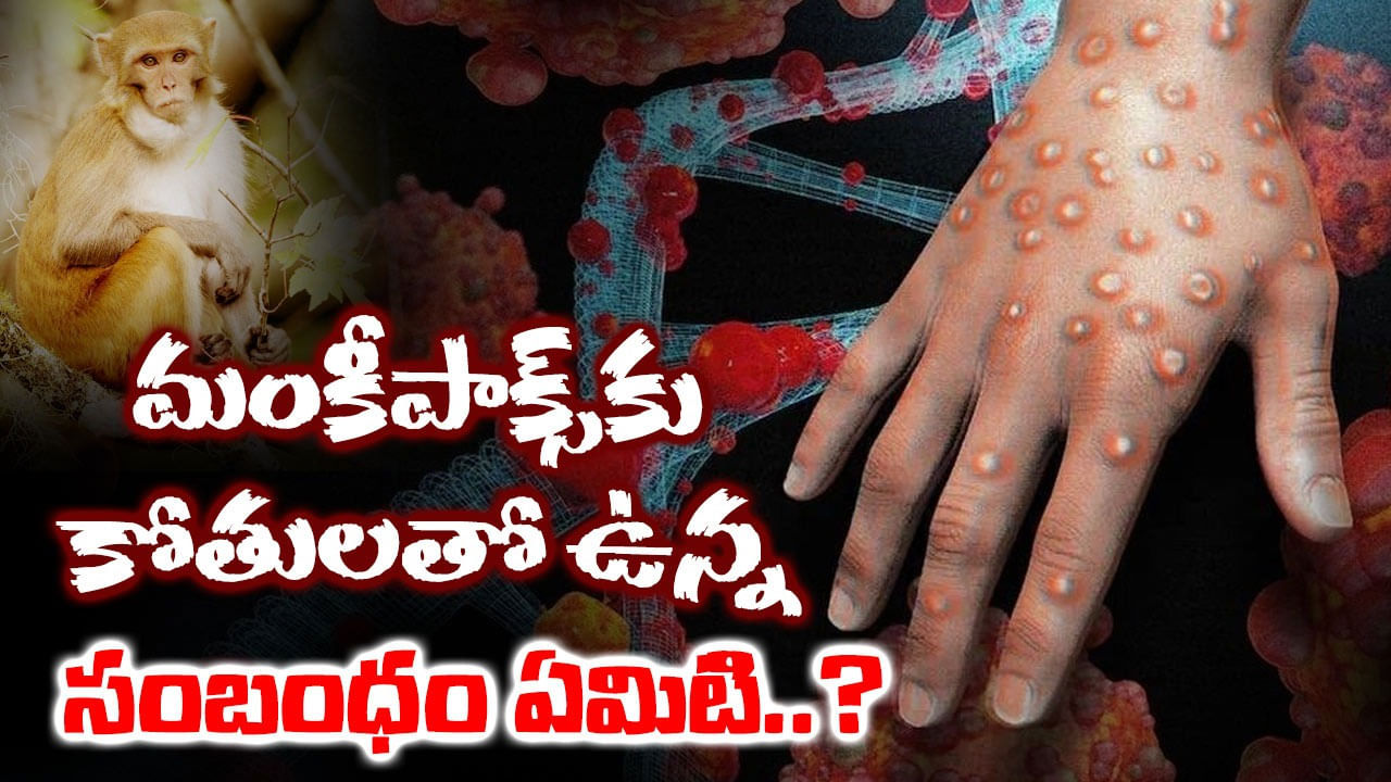 Monkeypox: మంకీపాక్స్‌కు కోతులతో ఉన్న సంబంధం ఏమిటి..? ఈ వ్యాధి వాటిద్వారానే వ్యాపిస్తుందా?