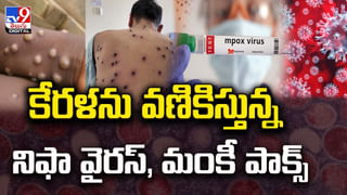 Rare Disease: సరికొత్త రూపంలో చికెన్ గున్యా.. తల్లి నుంచి పుట్టిన శిశువుకు అరుదైన వ్యాధి.. లక్షణాలు ఏమిటంటే