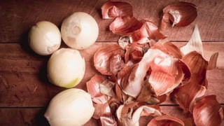 Fish Benefits: చేపలు తినడం వల్ల 5 అద్భుతమైన ప్రయోజనాలు.. అవేంటో తెలిస్తే..