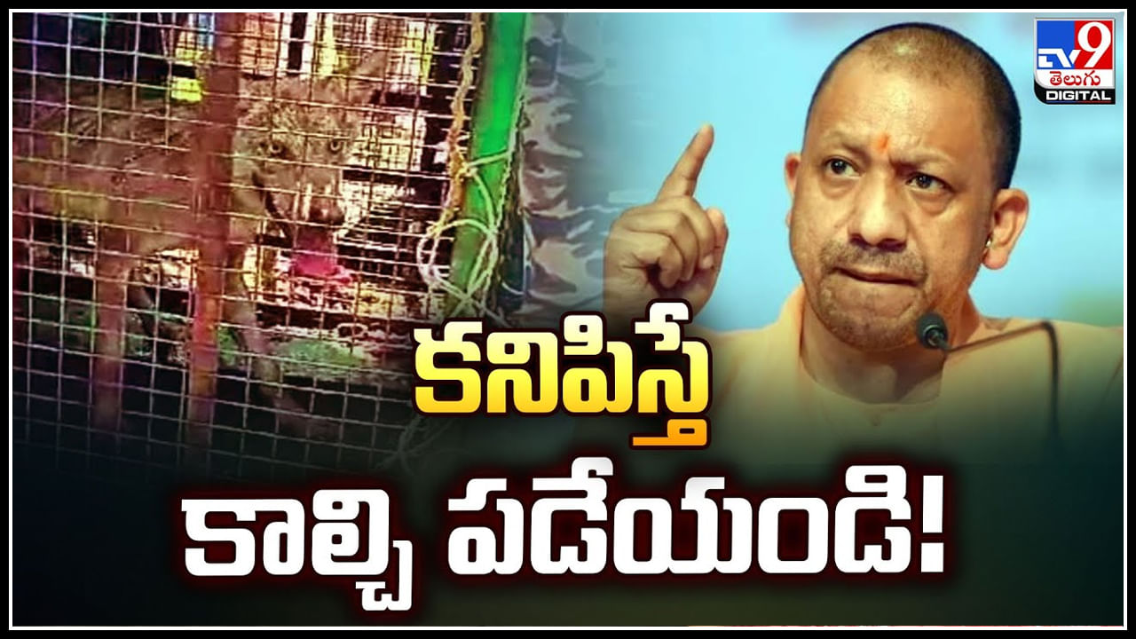 Operation Bhediya: కనిపిస్తే కాల్చి పడేయండి.! ఉత్తరప్రదేశ్‌ను వణికిస్తున్న తోడేళ్లు..