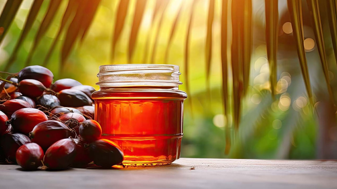 Palm oil: పామాయిల్ తీసుకుంటున్నారా.? ఏమవుతుందో తెలుసా..