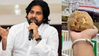 Tirumala Laddu: లడ్డు వివాదంపై న్యాయ పోరాటానికి సిద్ధమైన వైసీపీ.. కీలక నిర్ణయం