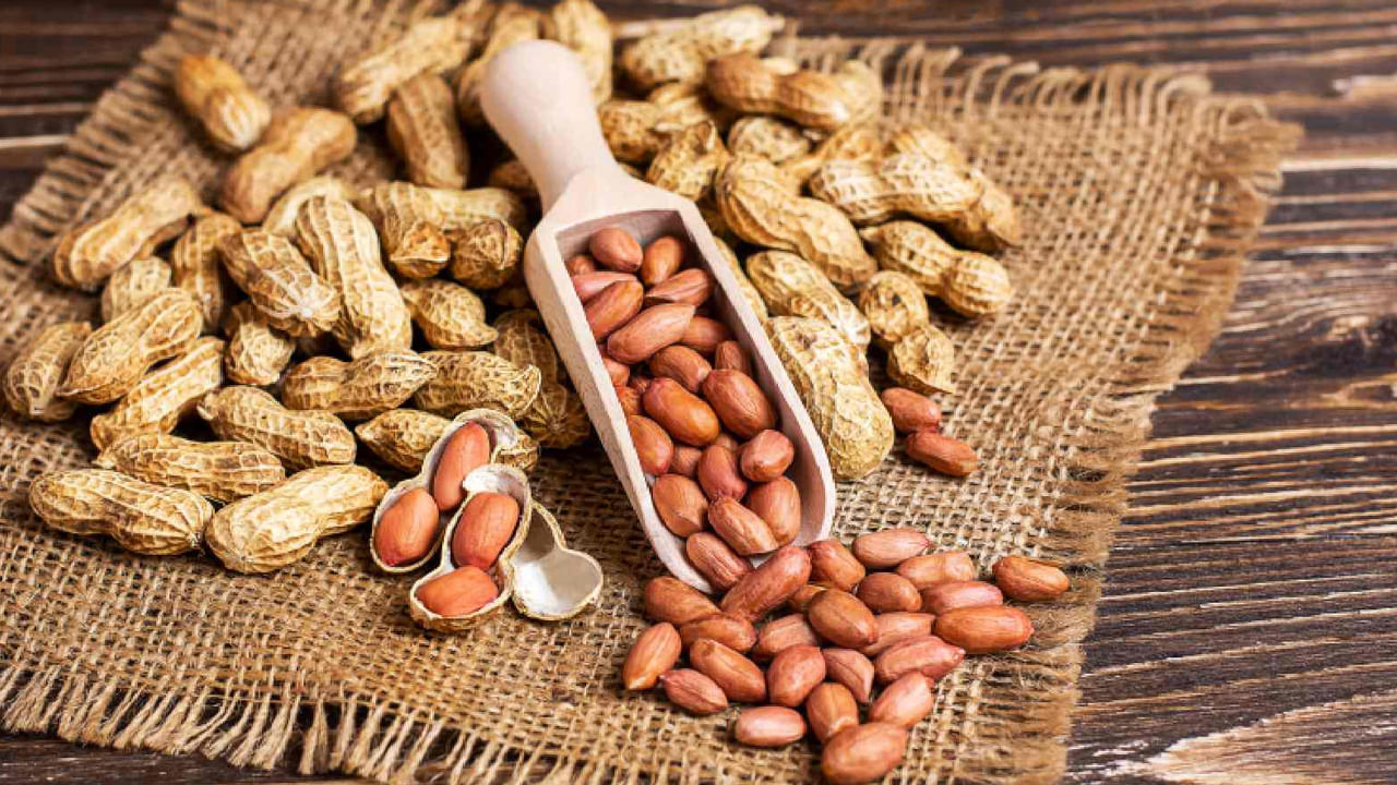 Peanut Benefits: ప్రతి రోజు గుప్పెడు పల్లీలు తింటే..శరీంలో ఏం జరుగుతుందో తెలుసా? - Telugu News | Do you know the health benefits of eating peanuts every day | TV9 Telugu