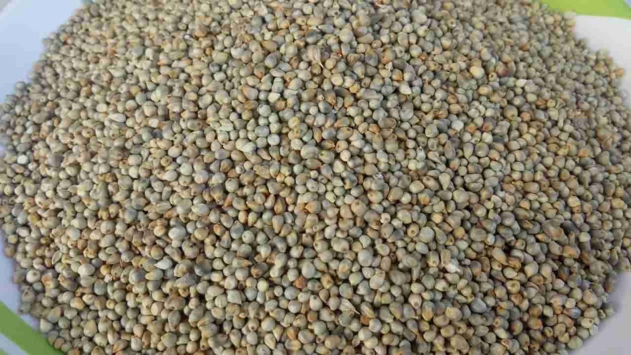 Pearl Millet: ఓ మై గాడ్.. సజ్జలతో చర్మ ఆరోగ్యం.. నమ్మలేని నిజాలు!