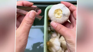 కిటికీ, తలుపులు పగలగొట్టి ఇంట్లోకి దూరిన అజ్ఞాత వ్యక్తి..! ఏం చేస్తాడో తెలిస్తే షాక్‌ అవ్వాల్సిందే..