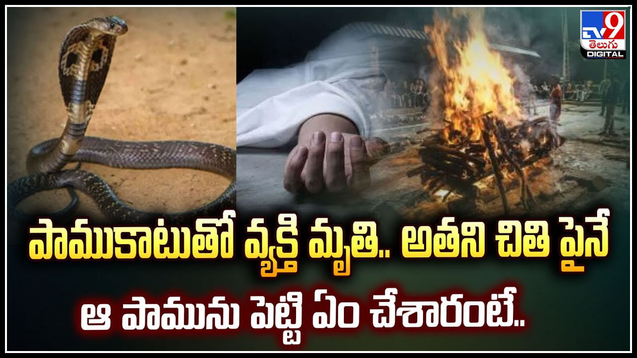 Viral: పాముకాటుతో వ్యక్తి మృతి.. అతని చితి పైనే  ఆ పామును పెట్టి ఏం చేశారంటే.!