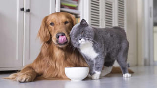 Office Tips: మీరూ ఆఫీస్‌లో గంటల తరబడి ఒకే చోట కూర్చుని పనిచేస్తున్నారా? ఈ విషయం తెలుసుకోండి