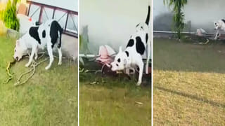 Viral Video: ట్రాఫిక్ జామ్ నుంచి తప్పించుకోలేని రైలు..ఒక్క రోజులో లక్షల వ్యూస్ సొంత చేసుకున్న ఫన్నీ వీడియో