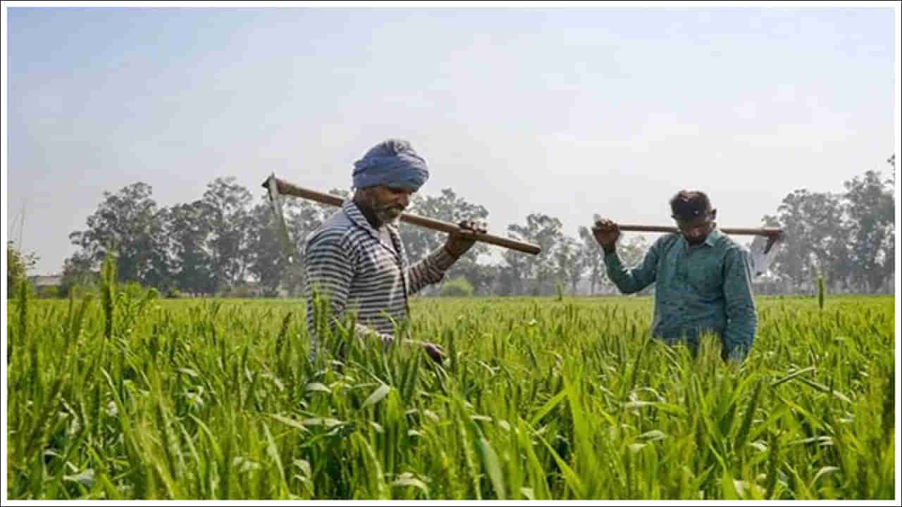 PM Kisan: రైతులు పీఎం కిసాన్‌ సాయం పొందడం ఎలా? దరఖాస్తు ఎలా చేసుకోవాలి?