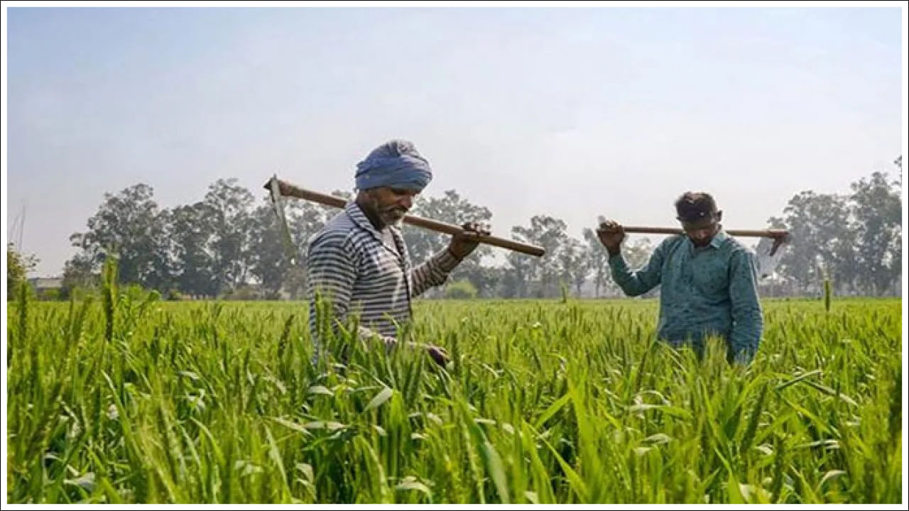 PM Kisan: రైతులు పీఎం కిసాన్‌ సాయం పొందడం ఎలా? దరఖాస్తు ఎలా చేసుకోవాలి?