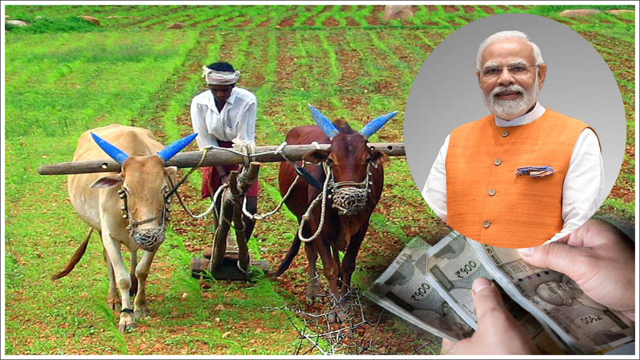 PM Kisan: దసరా పండగకు ముందు రైతులకు శుభవార్త.. పీఎం కిసాన్‌ 18వ విడత తేదీ  ఖరారు.. ఎప్పుడంటే..