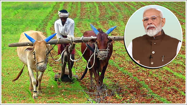PM Kisan: రైతులకు శుభవార్త.. పీఎం కిసాన్ 18వ విడత డబ్బులు ఎప్పుడో తెలుసా?