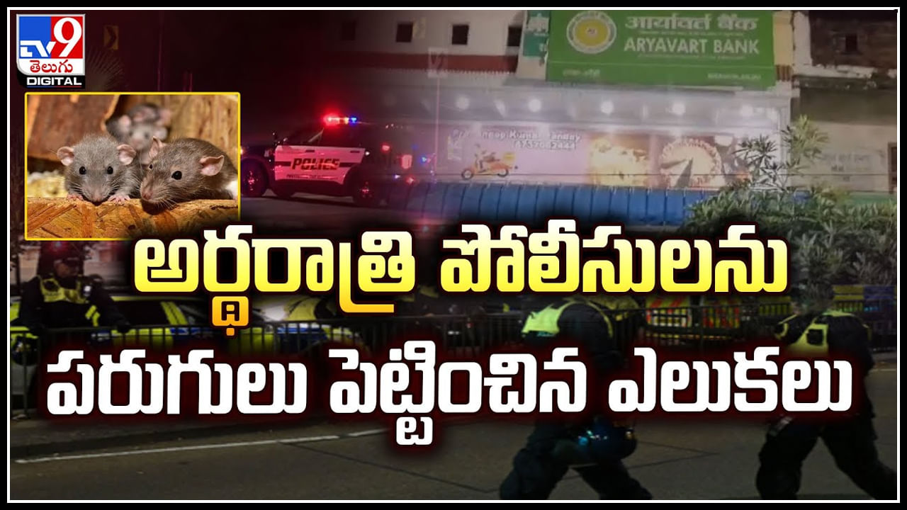 Bank Siren Rings: అర్థరాత్రి పోలీసులను పరుగులు పెట్టించిన ఎలుకలు.! ఎందుకో తెలుసా.?