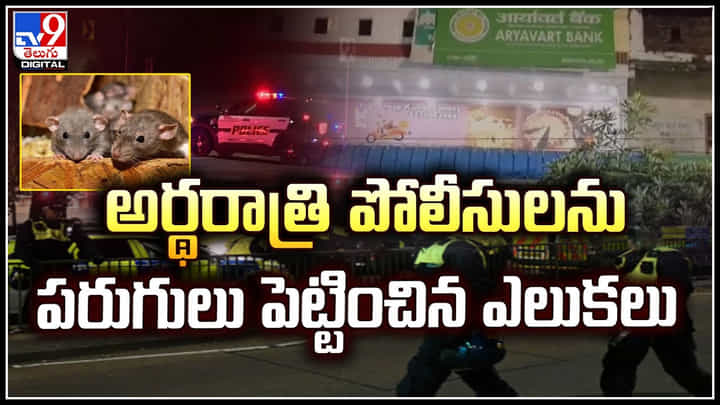 Bank Siren Rings: అర్థరాత్రి పోలీసులను పరుగులు పెట్టించిన ఎలుకలు.! ఎందుకో తెలుసా.? Bank Siren Rings: అర్థరాత్రి పోలీసులను పరుగులు పెట్టించిన ఎలుకలు.! ఎందుకో తెలుసా.?