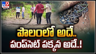 Guntur GGH: రోగికి ‘అదుర్స్‌’ సినిమా చూపిస్తూ.. మెలకువలో ఉండగానే మెదడులోని కణితి తొలగింపు