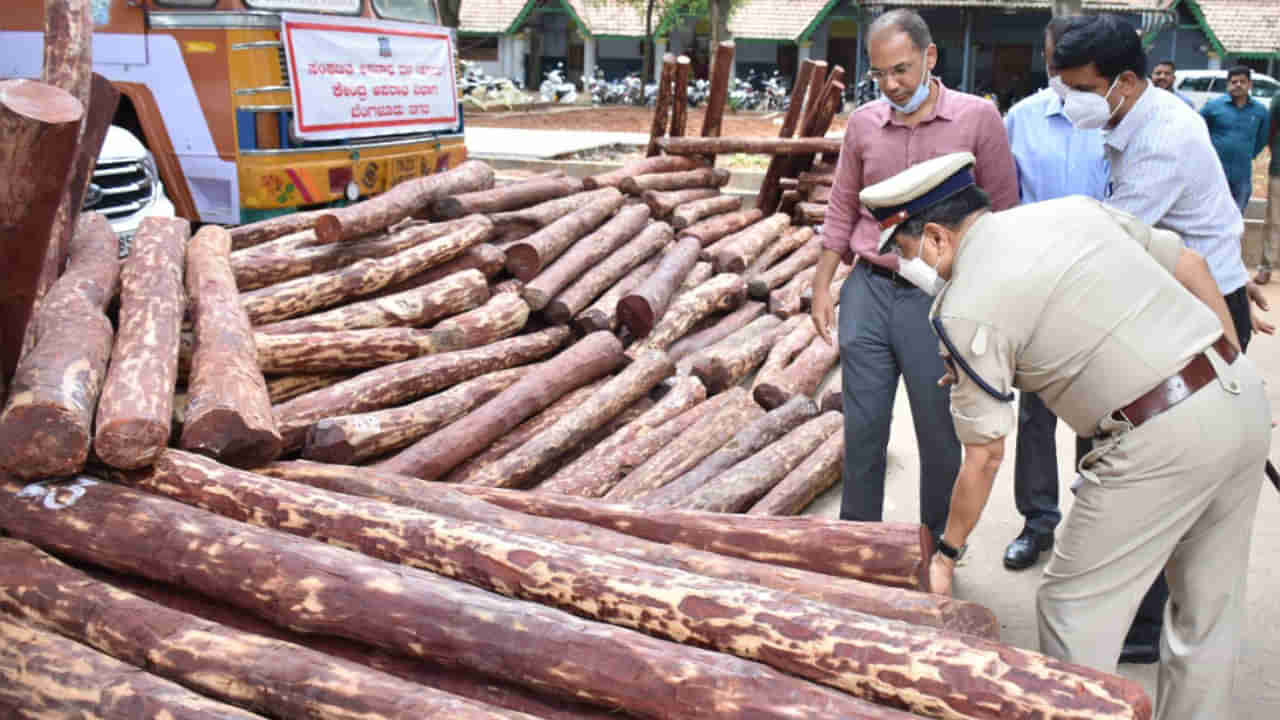 AP News: ఆ జిల్లాలో అందరూ పుష్పరాజ్‌లే.. దొరికినకాడికి దొరికినంత దండుడే.. సంచలన విషయాలు