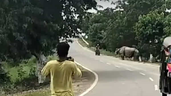 Watch: బైకర్ను వెంబడించి దాడి చేసిన ఖడ్గమృగం.. షాకింగ్ వీడియో చూస్తే