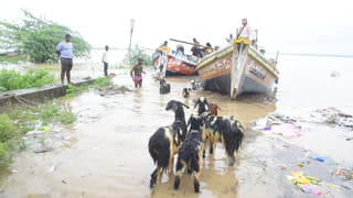 Andhra Pradesh: వర్షాలు, వరదలపై హోం మంత్రి అనిత సమీక్ష.. అధికారులకు కీలక ఆదేశాలు జారీ!