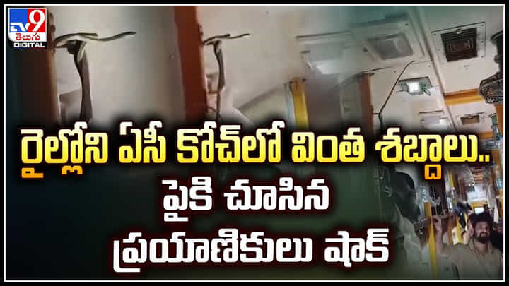 Snake: రైల్లోని ఏసీ కోచ్లో వింత శబ్దాలు.. ఎక్స్ప్రెస్ ట్రైన్ లో పాము బుసలు.! Snake: రైల్లోని ఏసీ కోచ్లో వింత శబ్దాలు.. ఎక్స్ప్రెస్ ట్రైన్ లో పాము బుసలు.!