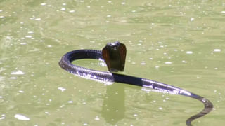 Telangana: ఎలాంటి పరిస్థితులు ఎదురైనా ఎదుర్కోవడానికి సిద్ధంగా ఉండండిః భట్టి విక్రమార్క