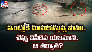 Watch: కాకికి సీపీఆర్ చేసి కాపాడిన పోలీస్.. హ్యాట్సాఫ్ చెప్పాల్సిందే..