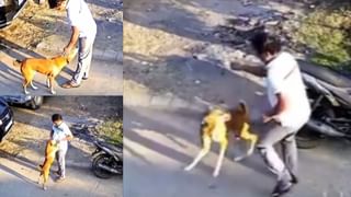 Viral Video: పైత్యం ముదిరితే ప్రాణం పోతుంది పిల్లా.. ఇక నీ ఇష్టం