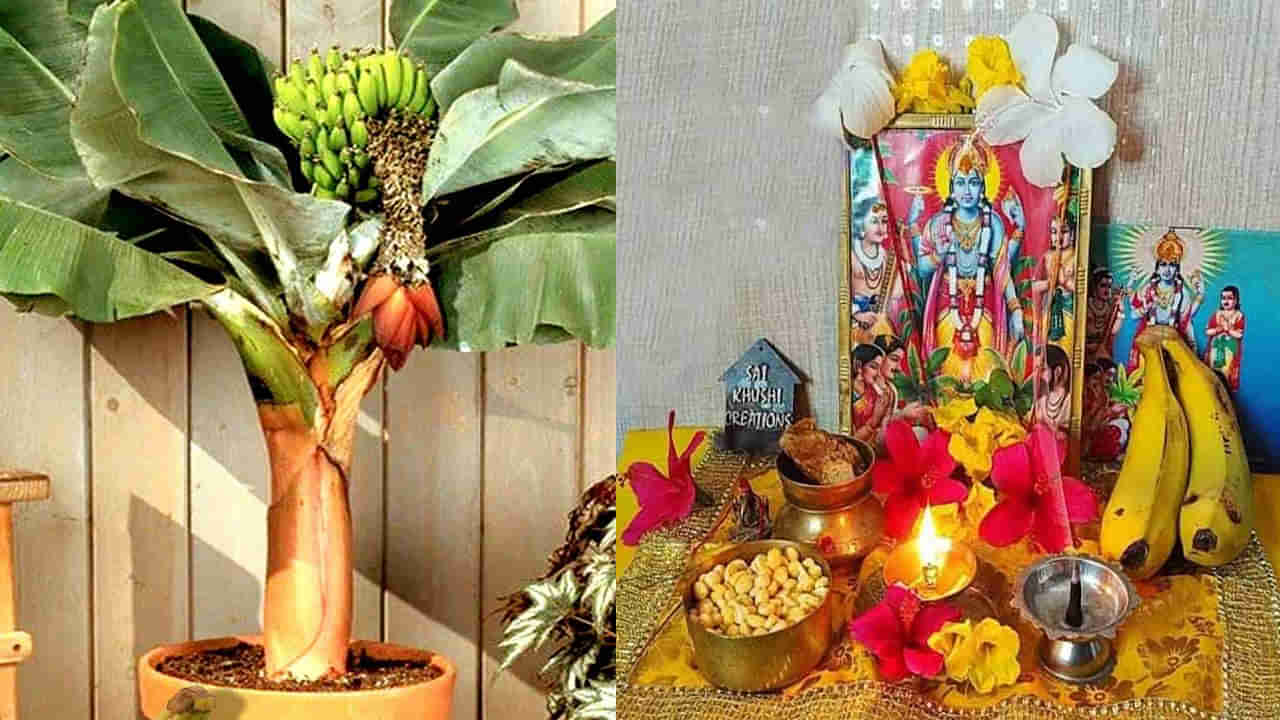 Thursday Puja Tips: జాతకంలో గురు దోషమా!.. శ్రీ హరి ప్రసన్నం కోసం గురువారం పొరపాటున కూడా ఈ పనులు చేయవద్దు..